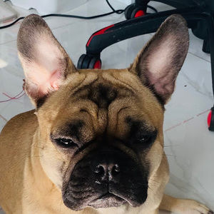 Meet your Posher, Anhad